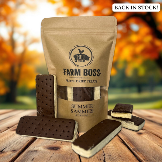 Summer Sammies | Freeze Dried Ice Cream Sandwiches