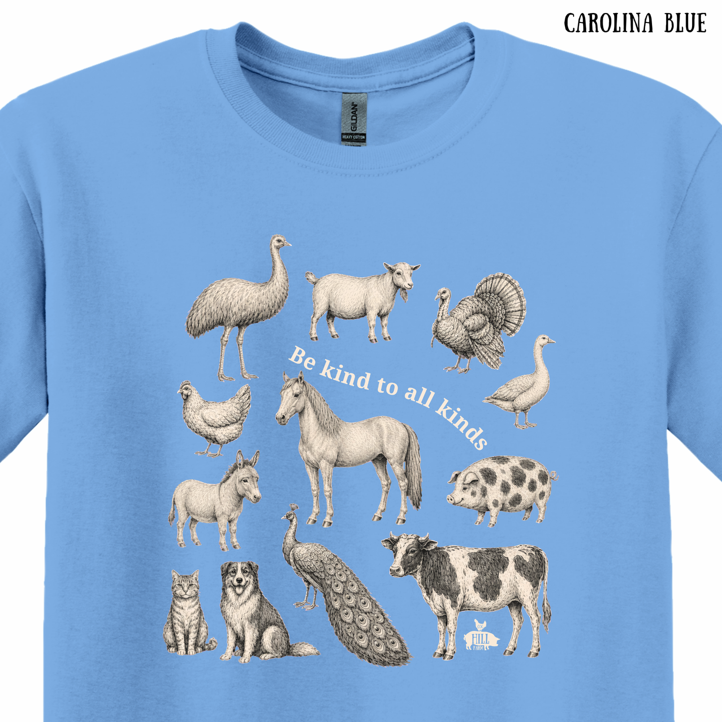 Be Kind to All Kinds | T-Shirt (Choose Your Color)