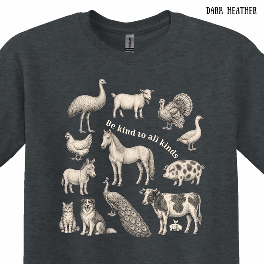 Be Kind to All Kinds | T-Shirt (Choose Your Color)
