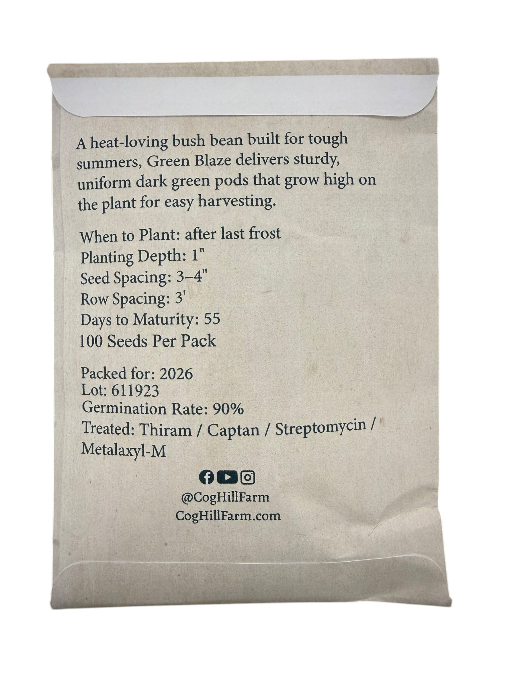 green bean seed planting depth Cog Hill's Green Blaze Bush Bean